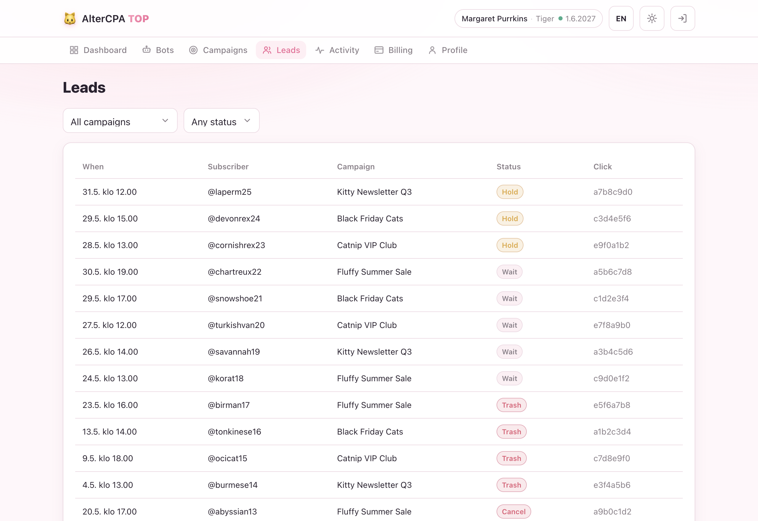 Leads table — campaign and status filters, subscriber usernames, click ids